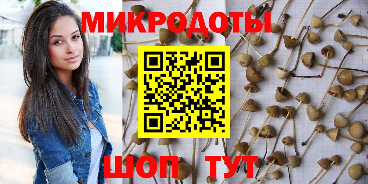Топки  Псилоцибиновые грибы мицелий  Псилоцибиновые грибы мухоморы  Вход с VPN 