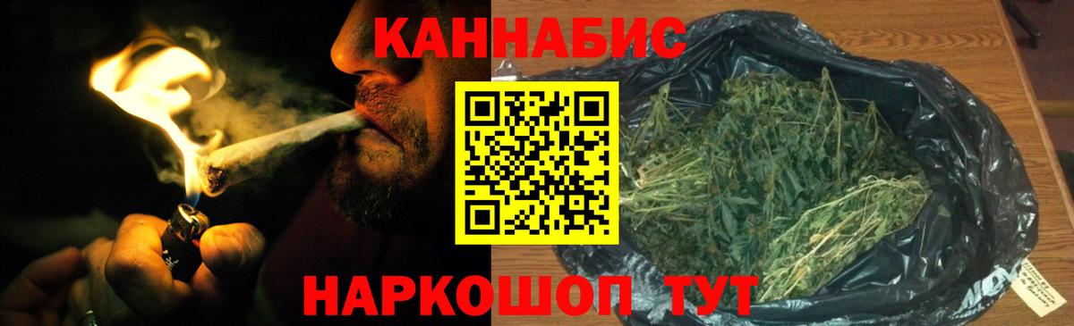 Бошки Шишки конопля  Каннабис семена  Конопля OG Kush  Топки  Канабис семена  Вход с VPN 
